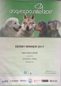 kenzi-derby172.jpg