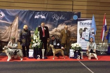 čtvrté místo v Best in Show - BIS, Cacib Rjeka 7.2.2015