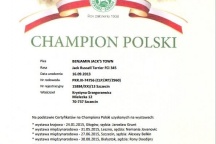 Polský šampion