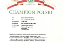 Nový šampion Polska