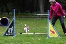 Marusja trénuje Agility s paničkou Irou a je to velká šikule....