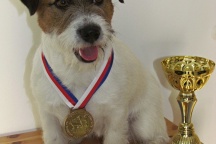 MVP Brno CZ - V1, CAC, CACIB, CAC ČMKU - Junior Champion CZ